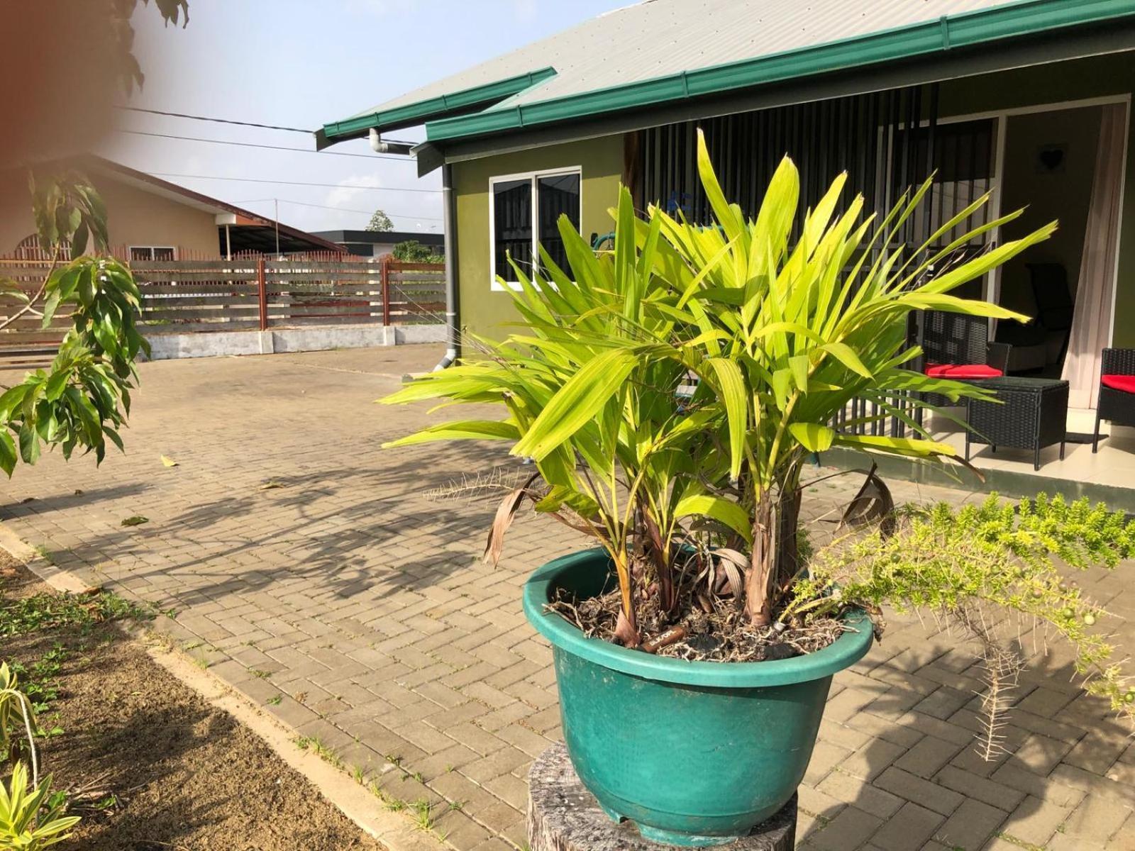 Grapefruitstraat Apartment ปารามารีโบ ภายนอก รูปภาพ