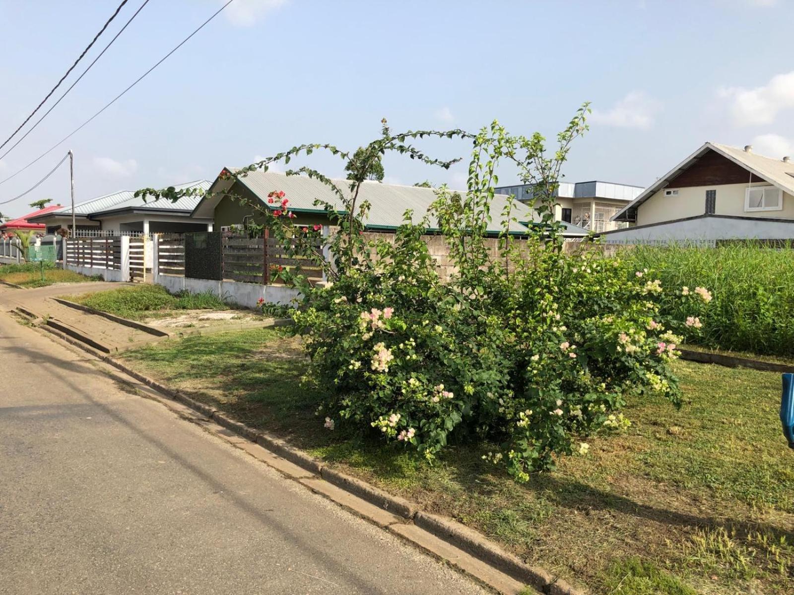 Grapefruitstraat Apartment ปารามารีโบ ภายนอก รูปภาพ